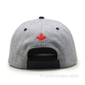 Casquette de snapback de laine brodée 3D